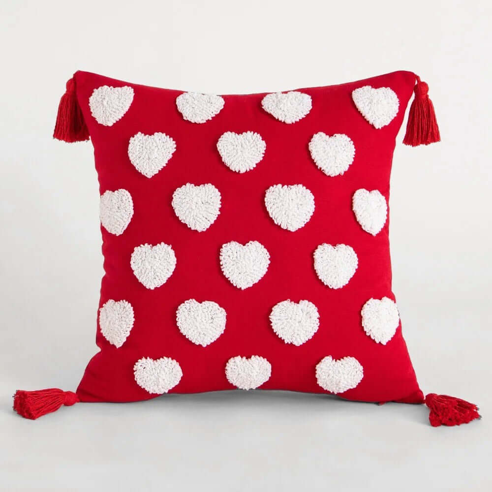Valentines Day Throw pillow cover, 18x18 inch